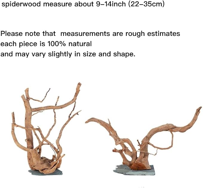 AWXZOM Natural Large Spider Wood Driftwood for Aquarium, Terrarium, Vivarium, and Reptile, Aquarium Décor, Reptile Tank, Aquarium décor Wood Aquascaping Wood for Reptile Enclosure (9-14inch)