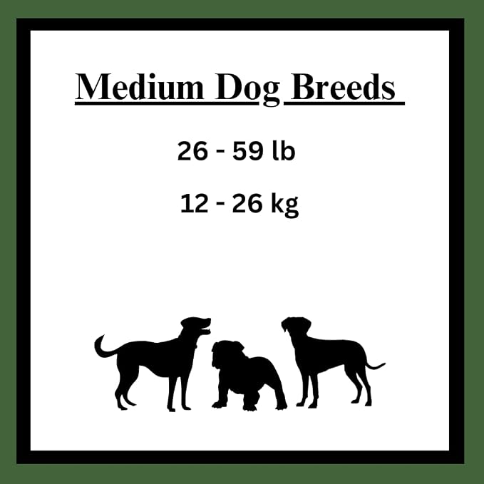 Rawhide Free 5 inch Retriever Sticks with 1 Bag Roll, Peanut Butter 3.5 oz