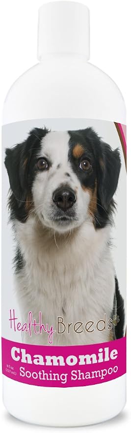 Healthy Breeds Miniature American Shepherd Chamomile Soothing Dog Shampoo 8 oz