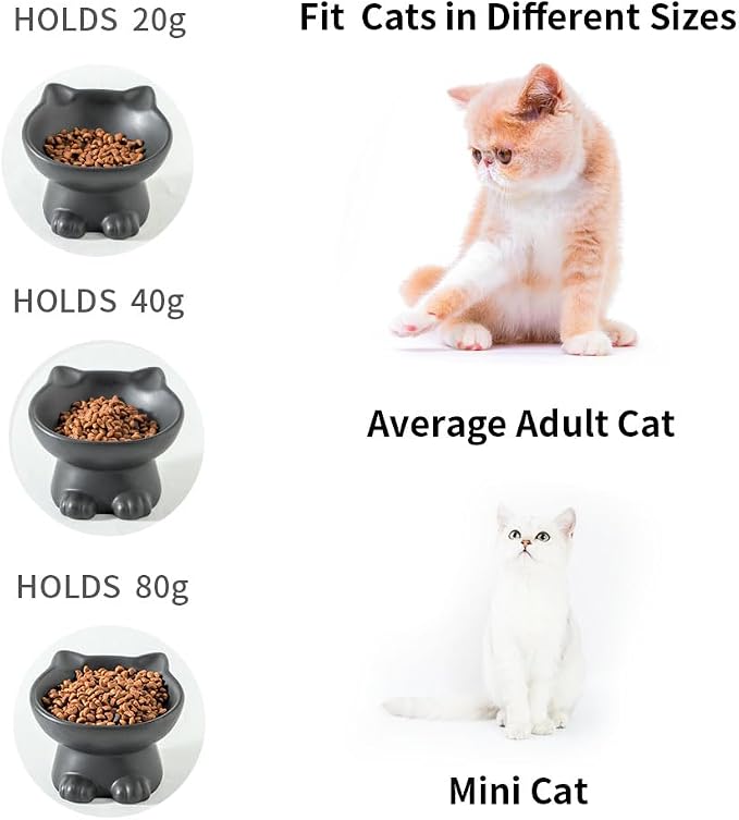 Nihow Slanted Elevated Cat Bowls: 5 Inch Ceramic Raised Cat Food Bowl for Protecting Pet's Spine - Microwave & Dishwasher Safe -Matte Black (4.5 OZ /1 PC)