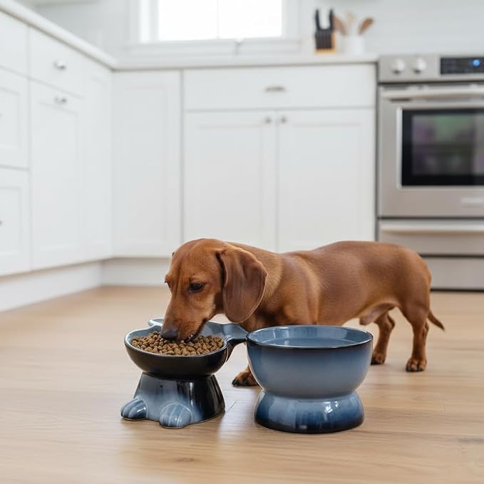 Nihow Dog Food & Water Bowl Set: Elevated Ceramic Bowls for Medium/Small Size Dogs - Food Safe Raised Puppy Bowls - Gray Pet Bowl for Protecting Pet's Spine (Set of 2)