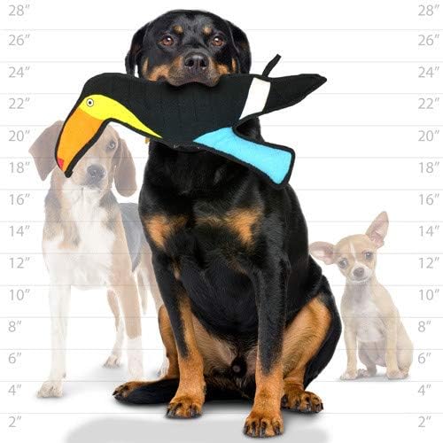 TUFFY® - 2 Pack Original : Toucan Dog Toy : : Ultra Durable Plush Toy with Multiple Layers & Reinforced Seams, Washable and Floats, Original Construction