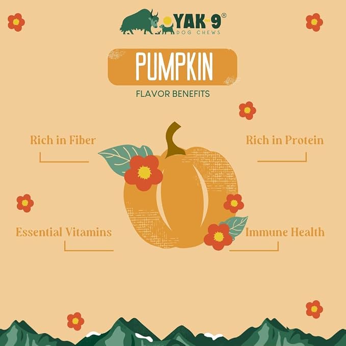 Yak9 Yak Cheese Himalayan Dog Chews, Pumpkin | High Protein, High Fiber Pumpkin Treats for Dogs | Long Lasting, Non GMO, Gluten Free, Grain Free | Large Size,4 PC