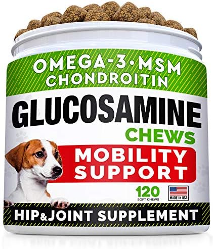 Glucosamine Treats + Probiotics Powder for Cats and Dogs Bundle - Joint Supplement w/Omega-3 Fish Oil + Relieves Diarrhea, Upset Stomach - Chondroitin, MSM + Digestive Enzymes, Prebiotics - Made in US