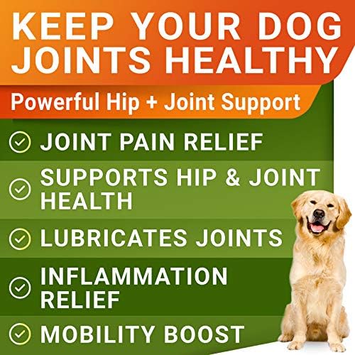 Glucosamine Treats + Probiotics Powder for Cats and Dogs Bundle - Joint Supplement w/Omega-3 Fish Oil + Relieves Diarrhea, Upset Stomach - Chondroitin, MSM + Digestive Enzymes, Prebiotics - Made in US