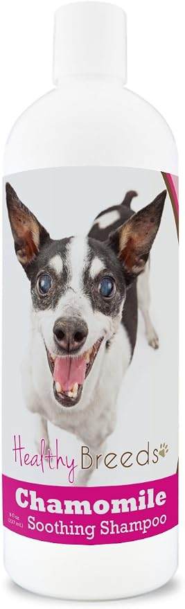 Healthy Breeds Rat Terrier Chamomile Soothing Dog Shampoo 8 oz