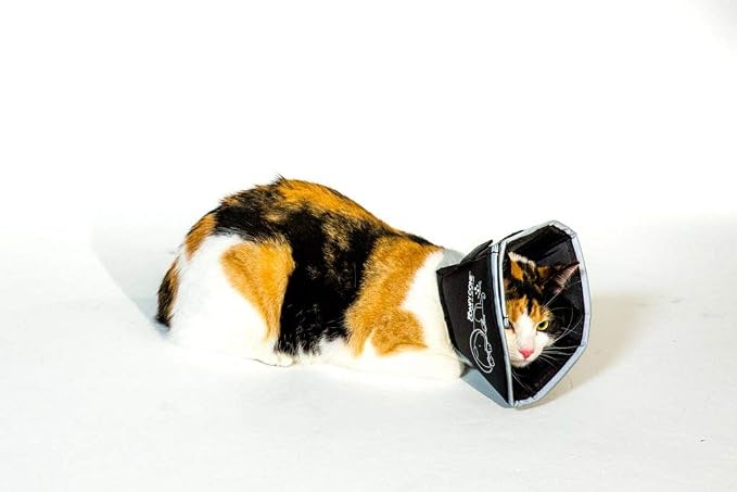 All Four Paws Comfy Cone Pet Cone for Dogs, Cats, Small, Black - Comfortable Soft Dog Cone Collar Alternative for After Surgery, Wound Care, Spay, Neuter - Dog and Cat Recovery Elizabethan-Collar