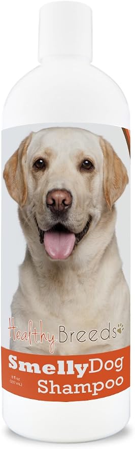 Healthy Breeds Labrador Retriever Smelly Dog Baking Soda Shampoo 8 oz