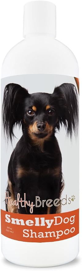 Healthy Breeds Russian Toy Terrier Smelly Dog Baking Soda Shampoo 8 oz