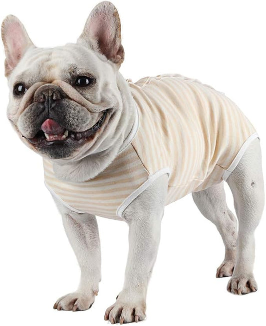 Etdane Dog Diapers Sanitary Panties Physiological Period Shirts Surgical Recovery Suits for Male and Female Dogs, Yellow/X-Small