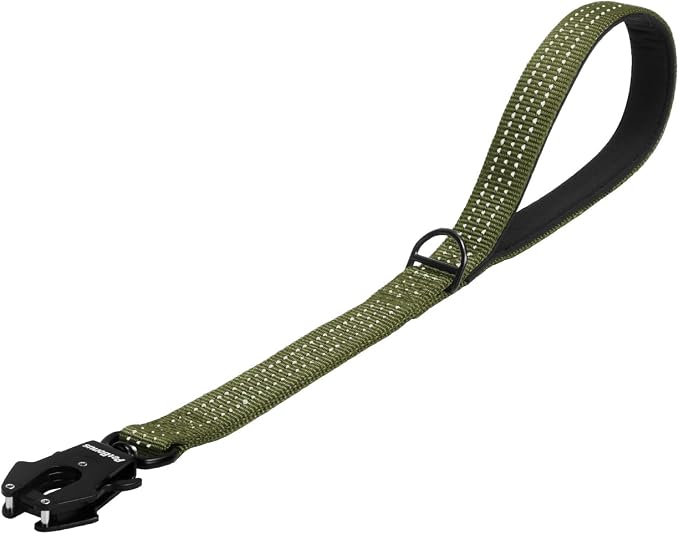PetBonus Heavy Duty 18 Inch Short Dog Leash and 2-Pack Large Silicone Collapsible Dog Bowls