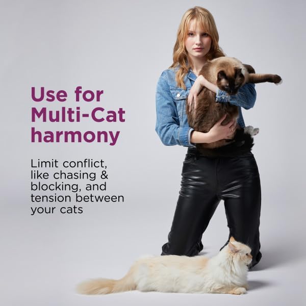 Comfort Zone Starter Bundle; Cat Calming Pheromone Diffuser Kit and Calming Travel Spray; Reduce Stress, Aggression, Fighting, Urine Marking and Scratching