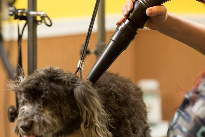 METROVAC MB-3 Air Force Master Blaster Pet Grooming Dryer | High Velocity Dog Hair Blower 8.0 HP Made in USA