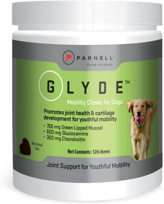 Glyde Hip & Joint Supplement for Senior Dogs, Mobility Support, 120 Chews | Green Lipped Mussel, Glucosamine and Chondroitin help support healthy cartilage, joints and mobility in senior dogs