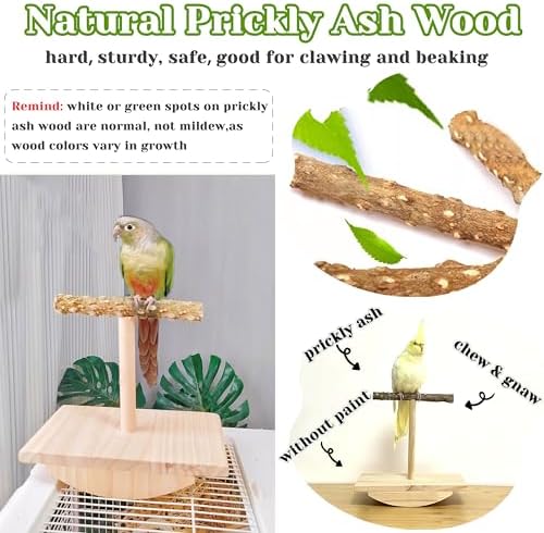 Natural Wood Bird Spinner & Perch Set (2PCS) - Chewing Hanging Toys with Bells & Training Stand for Cockatiel, Conure, Lovebird, Budgie, Quaker - Puzzle Enrichment