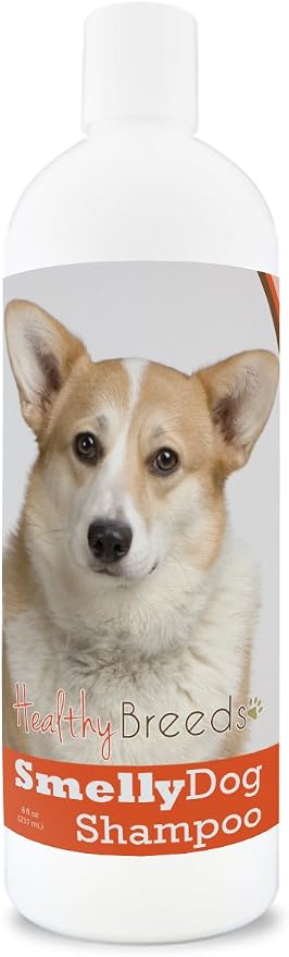 Healthy Breeds Cardigan Welsh Corgi Smelly Dog Baking Soda Shampoo 8 oz