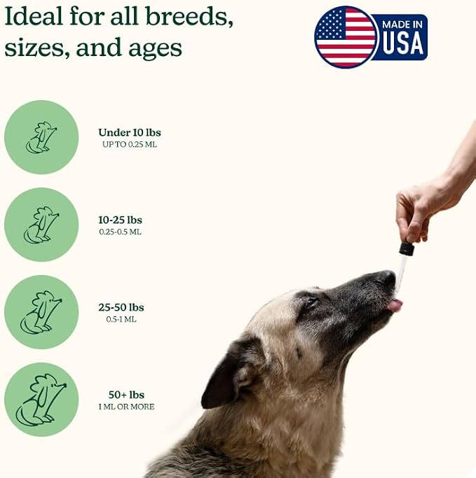 Reggie Anytime Calming Drops for Dogs | Fast-Acting Natural Anxiety Relief with L-Theanine, GABA & Chamomile | Dog Calming Tincture for Stress, Separation Anxiety, Thunderstorms & Travel | 2 fl oz