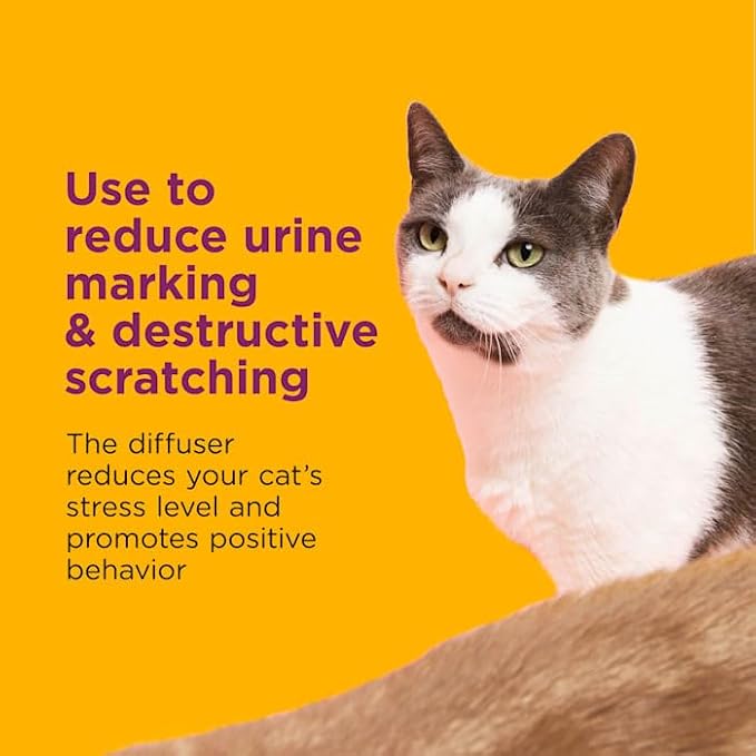 Comfort Zone Single & Multi-Cat Calming Diffuser Refills for A Soothing Home, 192 ml., Pack of 4
