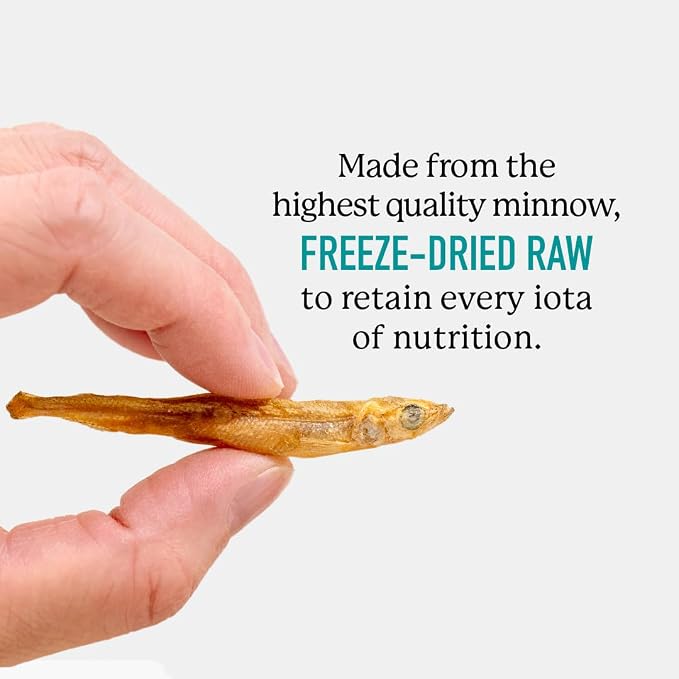 Dr. Harvey's Minnow Minis Freeze-Dried Dog Treats – Fish Treats for Training & Rewards – High Protein, Rich in Omega-3s, Made in the USA - 4 Ounces