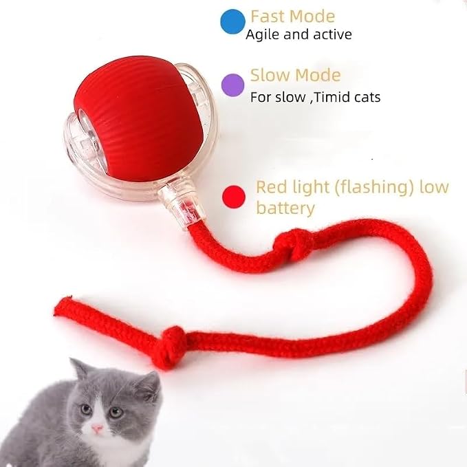 Interactive Mouse-Catching Cat Toy with Motion Sensor | Rechargeable Ball with Beep & LED Lights | Engaging Game for Indoor Cats, Reduces Boredom & Encourages Play (Pink Single Layer)