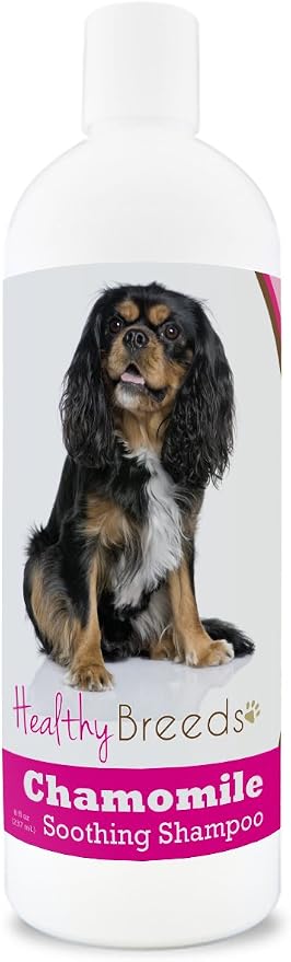 Healthy Breeds Cavalier King Charles Spaniel Chamomile Soothing Dog Shampoo 8 oz