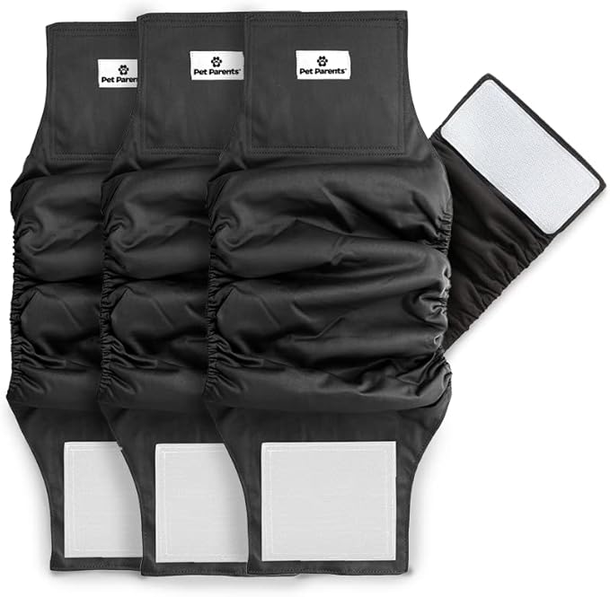 Pet Parents Washable Belly Band Male Dog Diapers, Dog Wraps and EXTENDRS, Black, X-Small: 1