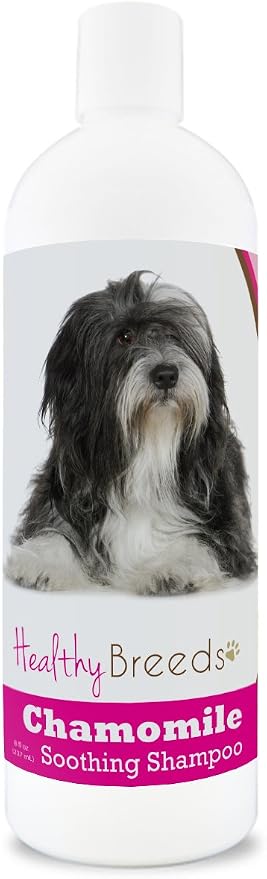 Healthy Breeds Chamomile Dog Shampoo & Conditioner with Oatmeal & Aloe for Lhasa Apso - OVER 200 BREEDS - 8 oz - Gentle for Dry Itchy Skin - Safe with Flea and Tick Topicals