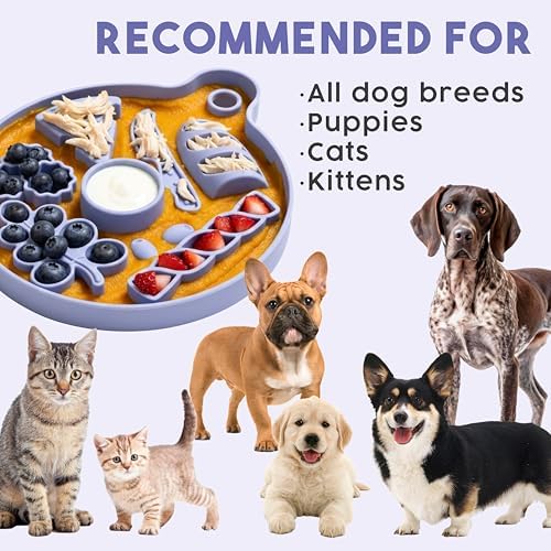 Smorgasboard 2-Pack Bundle – Silicone Dog and Puppy Lick Mat and Slow Feeder with Suction Cups - Non-Slip, Dishwasher Safe Pet Dishes - Extend Mealtimes for Fast Eaters - for Wet & Dry Food