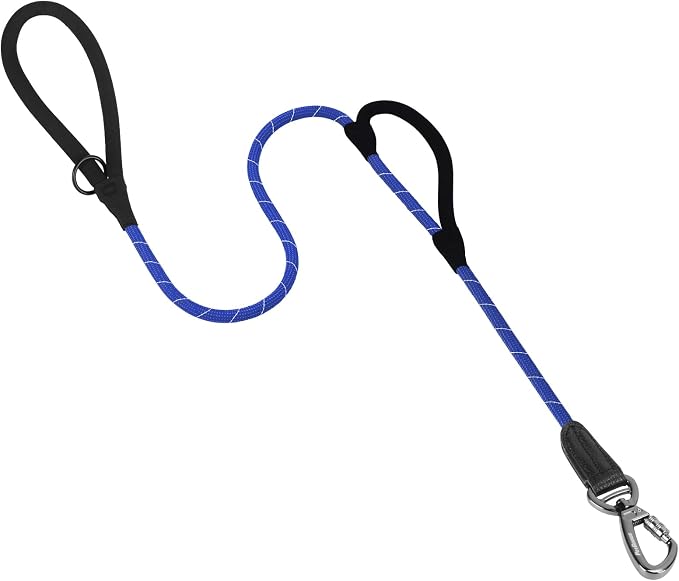 PetBonus Double Handle Rope Dog Leash and 2-Pack Large Silicone Collapsible Dog Bowls