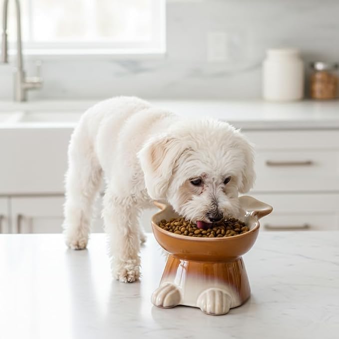 Nihow Elevated Ceramic Dog Bowls: 6.5 Inch Raised Dog Bowl for Food & Water - Food Safe Bowl for Medium/Small Size Dogs - Brown Puppy Bowls for Protecting Pet's Spine（1 PC）