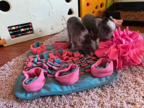 Interactive Dog Snuffle Mat for Mental Stimulation and Enrichment for Dogs Pigs Rabbits Cats and Other Small Animals Encourages Natural Foraging Skills and Stress Relief
