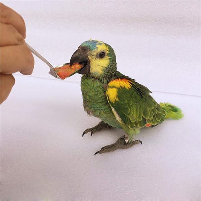 Birds Feeding Syringe Manual Feeding Rearing Gavage Curved Needle Medication Tube Birds Small Pet Feeding Syringe Bird Feeder (50ML)