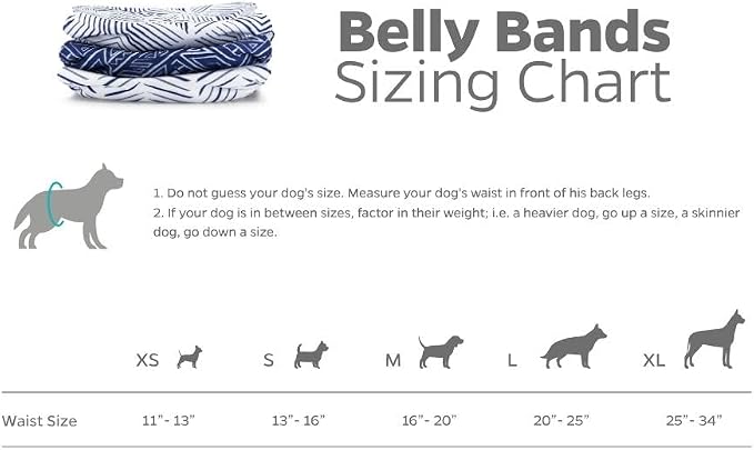 Pet Parents® Washable Belly Bands for Male Dogs (3pack) + Extendrs® of Durable Dog Diapers Male, Premium Male Dog Diapers & Dog Wraps (X-Large, Kahuna)
