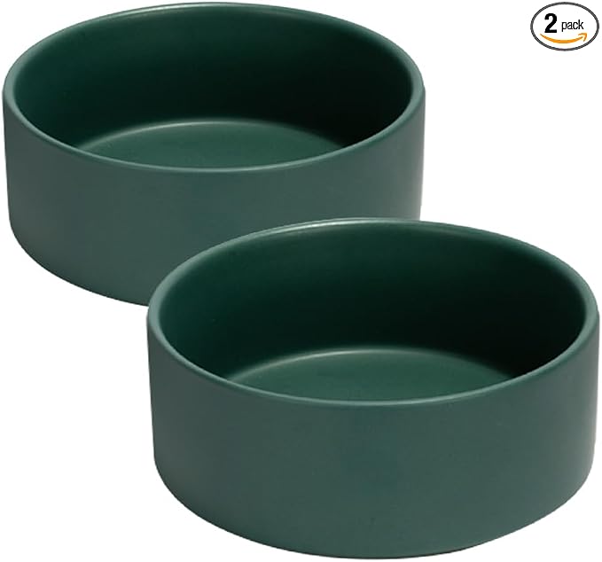 SPUNKYJUNKY 13.5OZ Ceramic Dog and Cat Bowl, Modern Cute Weighted Food Water Bowl for Replacement Green (2 Pack)