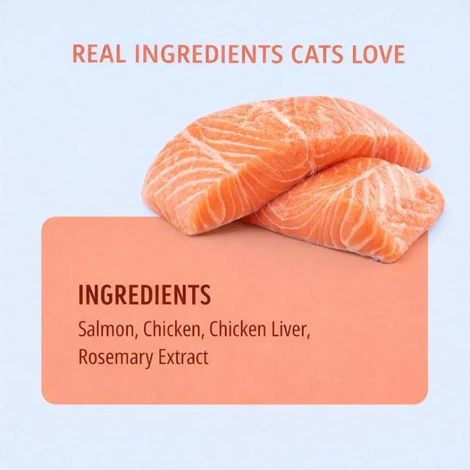 Freeze Dried Cat Treats Salmon Lollipops 12 Pops - High Protein Lickable Salmon Treats on Stick for Training Bonding - Cat Snacks No Artificial Flavors Preservatives for Kittens Cats All Ages