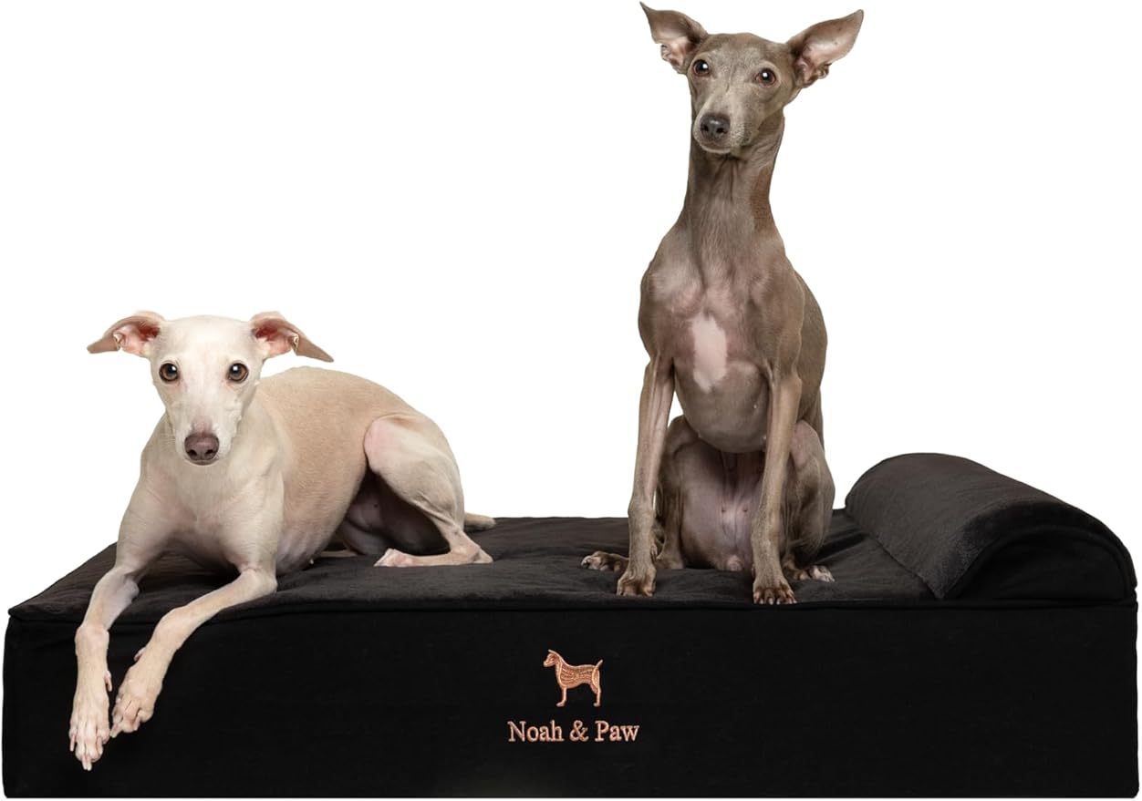 NOAH & PAW Large Dog Bed, 35x25x8.7 Inch, Orthopedic Dog Beds, Eggshell Memory Foam Infused with Cooling Gel, Water Resistant, Machine Washable, Includes Inner Cover (Denim Collection)
