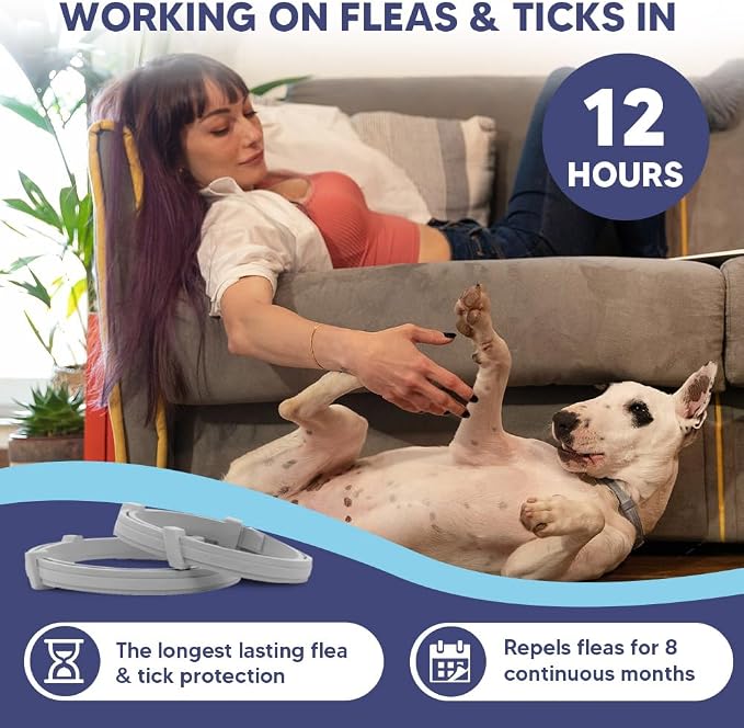 fcesiweg Flea Collars for Dogs Large, Tick Collar for Dogs, Flea Dog Collar, Adjustable for Medium & Big Breeds,Gentle and Safe for Daily Use, 8 Months Protection-2P