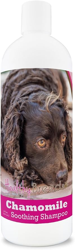Healthy Breeds American Water Spaniel Chamomile Soothing Dog Shampoo 8 oz