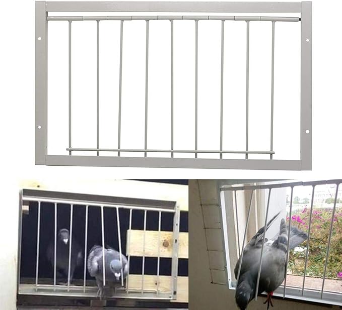 26cm(Tall) 60cm (Long) T-Trap for Pigeon Birds House Door Pigeon Birds House Door Pigeon coop for Sale Bird Cages Pigeon cage Supplier