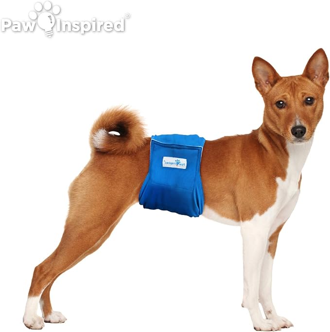 Paw Inspired 3-Count Reusable Male Dog Wraps, Washable Diapers for Male Dogs, Belly Bands for Incontinence, Surgery, Male Marking (Medium Size, Assorted Colors with White Lining, Pack of 3)