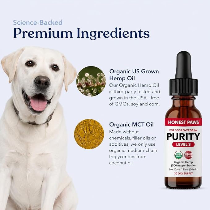 Honest Paws Hemp Oil for Dogs - Natural Hemp Seed Oil Drops Rich in Omega 3 6 9 - May Help Support Calm Behavior, Physical Comfort & Overall Wellness - Made in USA