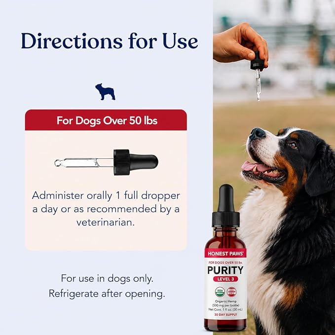 Honest Paws Hemp Oil for Dogs - Natural Hemp Seed Oil Drops Rich in Omega 3 6 9 - May Help Support Calm Behavior, Physical Comfort & Overall Wellness - Made in USA
