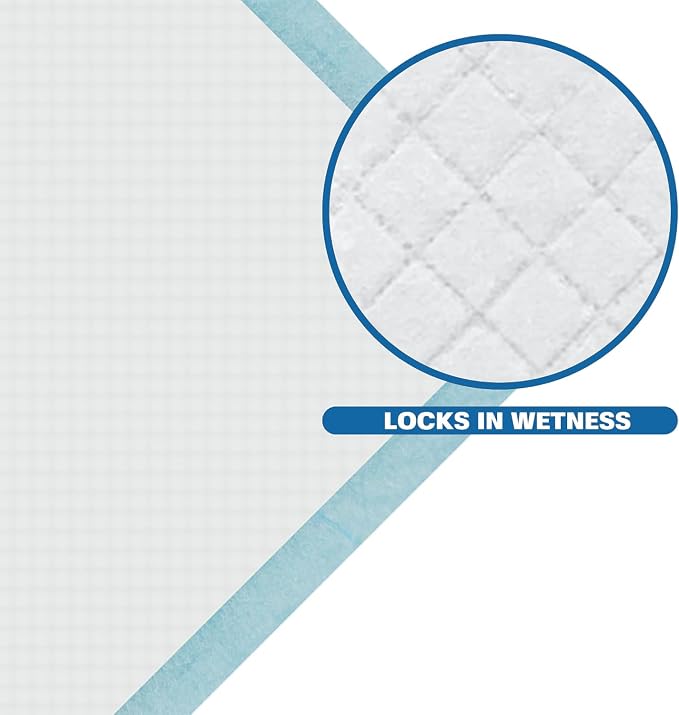 Puppy Pee Pads, 22 x 22 Inch 600 Count Pet Potty Training Pads for Dogs, Leak-Proof Quick Absorb 6-Layer Design, Ideal for Puppies, Cats, Rabbits, and Guinea Pigs, Blue