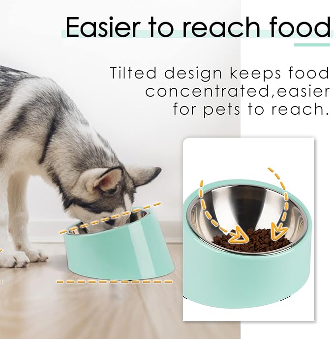 SuperDesign Mess Free 15° Slanted Bowl for Dogs and Cats, Tilted Angle Bulldog Bowl Dog Feeder, Non-Skid & Non-Spill, Easier to Reach Food M/1 Cup Teal