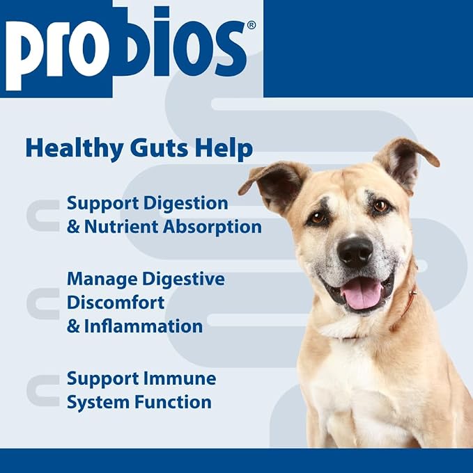 Probios for Dogs Soft Chews, Daily Probiotic Supplement for Gut Health, Digestion and Immune Support Medium and Large Breeds, Chicken Liver Flavor, 8.46oz 60 Chews