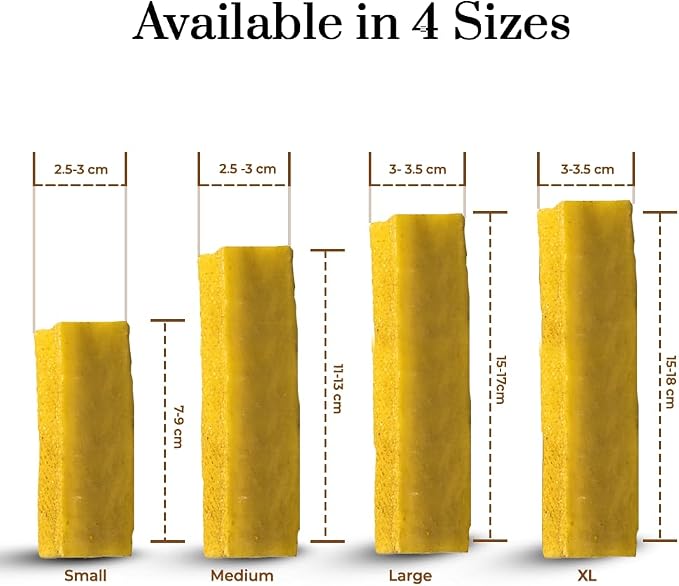 Dogsee Himalayan Yak Cheese Dog Chews with Turmeric/Curcumin (Medium - 2 Chews), All Natural Long Lasting, Anti-inflammatory, Odorless High Protein Chew,60% Protein Dog Treats for Active Chewers