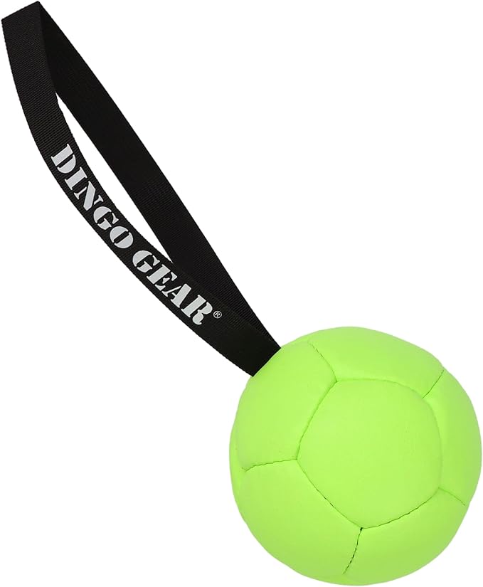 DINGO GEAR WWW.DINGOGEAR.COM 1977 Set Faux Leather Ball with Pump for Dog Training, as Reward for Fetch tug of war, for Strong Dog, Handmade, 5in Green Z30032
