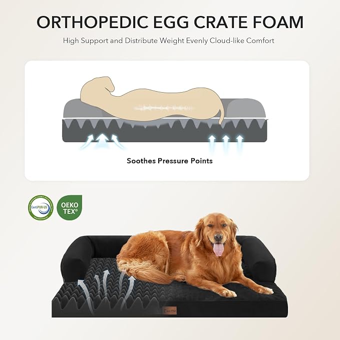 Orthopedic Dog Beds for Medium Sized Dogs, Waterproof Egg Crate Foam Medium Dog Couch Beds for Crate 35x22Inch, Washable Pet Beds with Removable Cover and Nonskid Bottom, Black