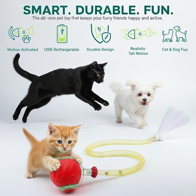 Interactive Cat Ball Toy with Tail for Indoor Cats Kittens – 2026 - Automatic Smart Rolling Motion Pet Exercise for Small Dogs | Rechargeable Motion-Activated, USB Charging Self-Play (RED)