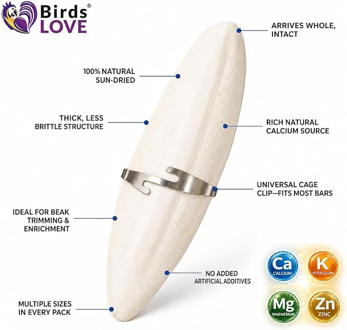 Birds LOVE 7.5-8" Cuttlebone for Birds – 100% Natural Sun-Dried Calcium Carbonate Mineral Supplement – for Parakeets, Budgies, Cockatiels, Finches & Canaries – 1 Pack with Holder – Made in Vietnam